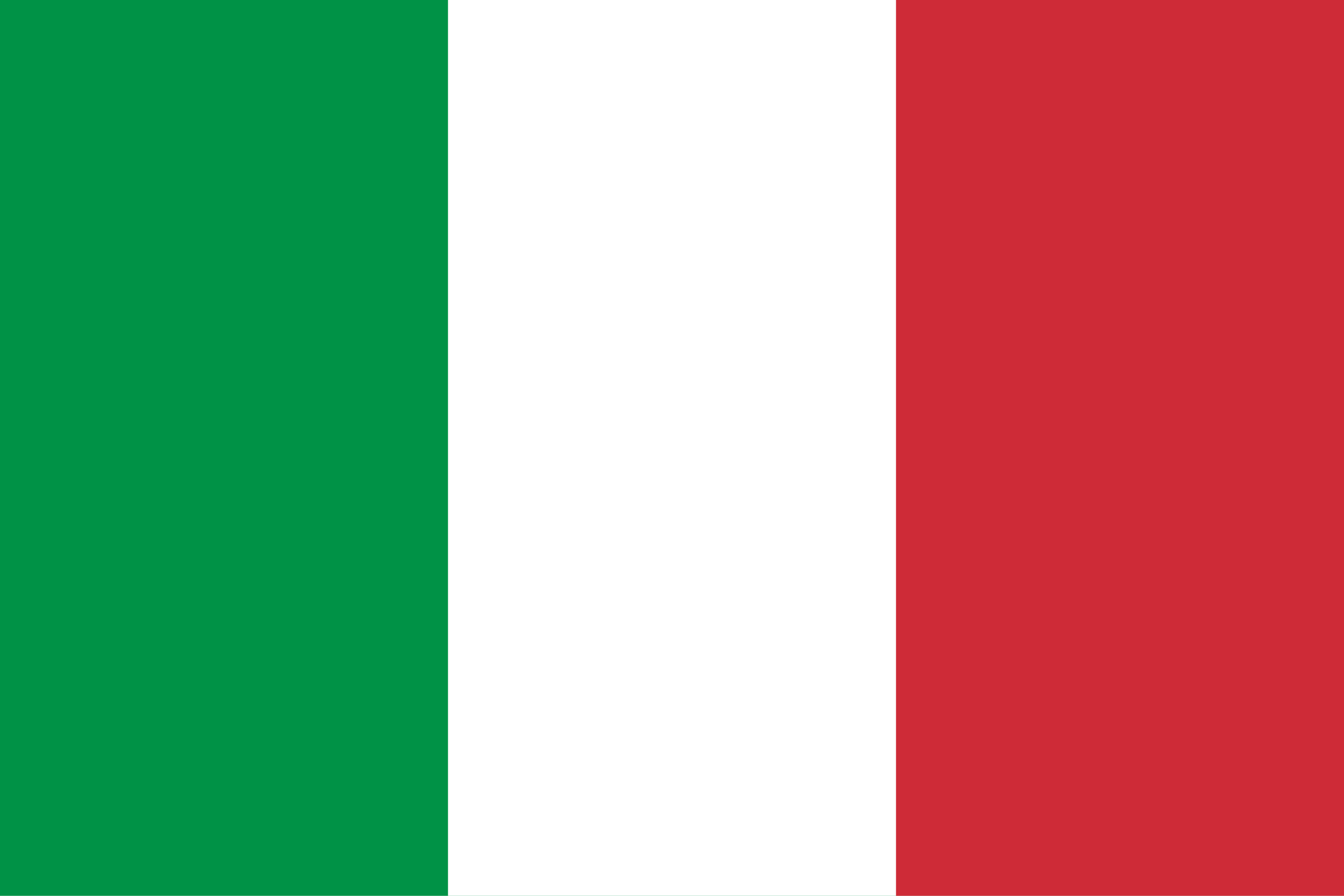 Italy Flag